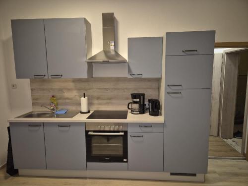 Klein WanzlebenにあるMonteurswohnungen - Klein Wanzlebenの白いキャビネットとコンロ付きオーブンを備えたキッチン