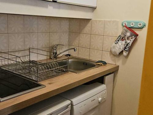 Les Menuires, Appt 4 pers, Wifi, Animaux admis - FR-1-574-64