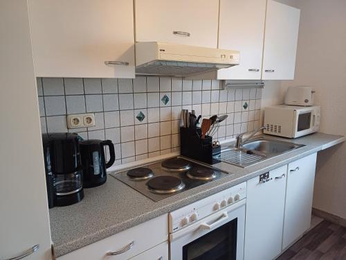 HerbsteinにあるFerienwohnung Vulkanradwegのキッチン(コンロ、シンク、電子レンジ付)
