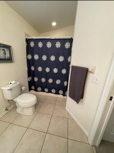 a bathroom with a toilet and a blue shower curtain at Marco Island Retreat- close to beach ! in Marco Island