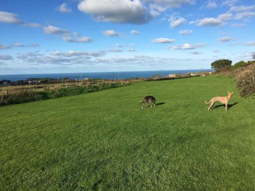 Φυσικό τοπίο κοντά σε αυτή η παραθεριστική κατοικία