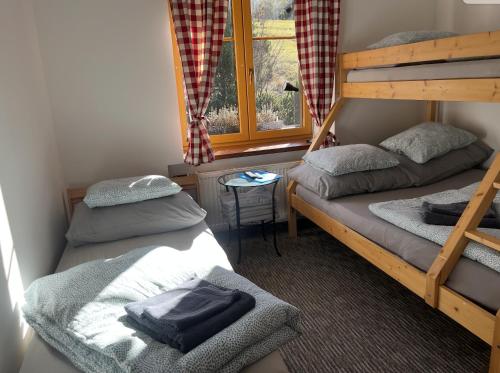 une chambre avec deux lits superposés et une fenêtre dans l'établissement WOLF HOUSE KLÍNOVEC, à Loučná pod Klínovcem