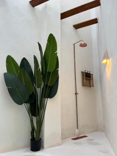 Koupelna v ubytování Apartamento acogedor frente a Plaza de la Iglesia