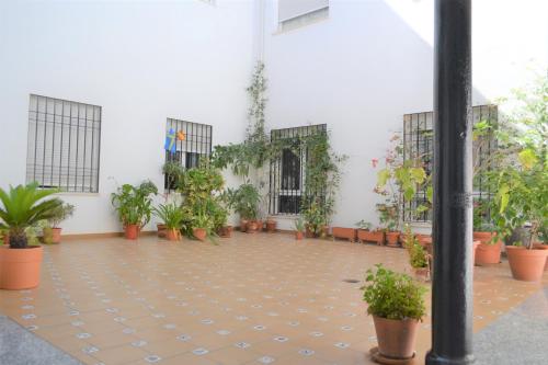 Sunshine Patio de Fernando Colon