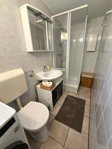 a bathroom with a toilet and a sink and a shower at Ferienhäuschen in Dickesbach in Dickesbach