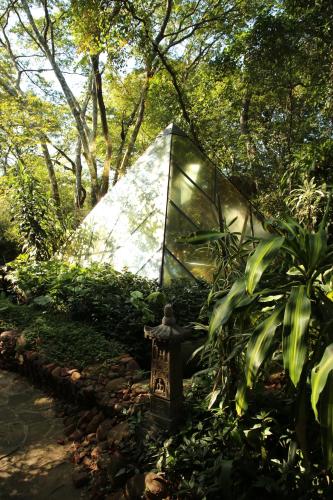 Κήπος έξω από το Satori Zen Club