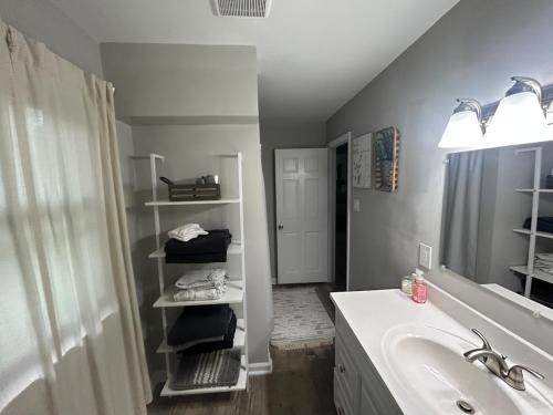 a bathroom with a sink and a tub and a mirror at Woodsy home near Wineries, Hiking, & River in Dahlonega