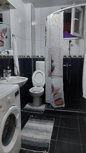un bagno con WC e lavatrice di Apartment Marković a Bijeljina