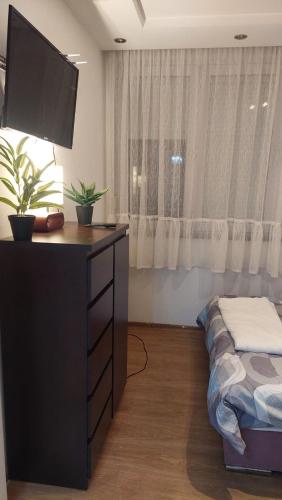 una camera con letto e comò con TV a schermo piatto di Apartment Marković a Bijeljina