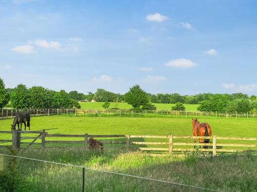 two horses standing in a field behind a fence at Chestnut Lodge in Old Buckenham