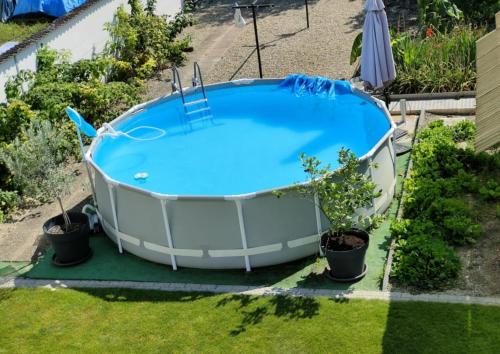 ein leerer Whirlpool in einem Garten mit Pflanzen in der Unterkunft Chez Stef in Marckolsheim
