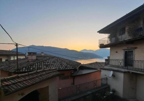 アパートメントの近くで見られる自然の景観