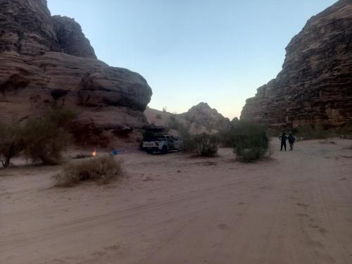 アパートメントの近くで見られる自然の景観