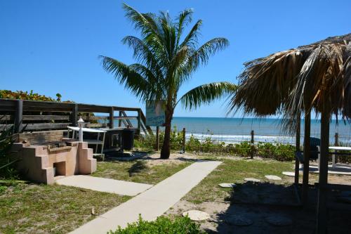 a palm tree next to a beach with the ocean at Oceanfront Sea Scape Motel in Melbourne