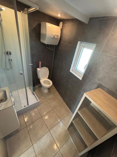 Un baño con inodoro, ducha y lavabo. en Petit studio à la campagne, en Angerville-la-Martel