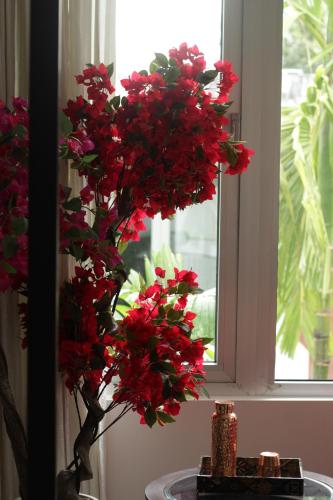 a vase filled with red flowers in front of a window at Casa Calma - 2BHK Luxury Villa with Private Pool by evaddo in Siolim
