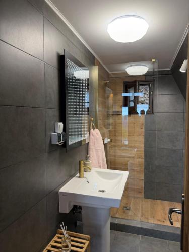 ein Badezimmer mit Waschbecken und Dusche in der Unterkunft Wildcabinpanoramic Marisel in Mărişel