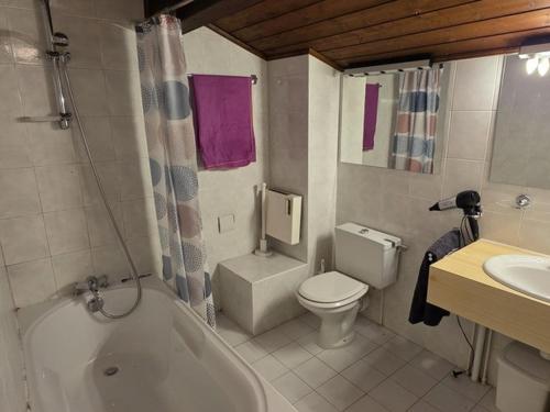 Confortable 3 pièces, 6 pers, balcon sud, proche télésiège, animaux OK, parking, WiFi