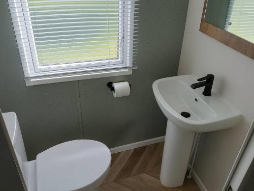 a bathroom with a sink and a toilet and a window at Lakeland Leisure Park - Holiday Accommodation 20349 in Flookburgh