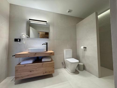 a bathroom with a sink and a toilet at Mas Les Arrabassades in Castelló d'Empúries