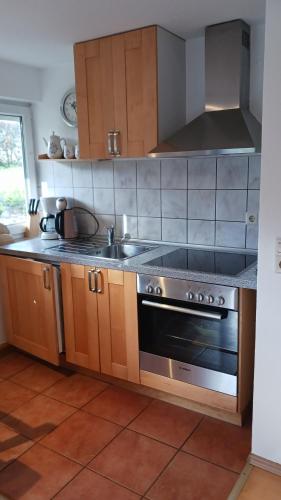 a kitchen with a stove and a sink at Weingut Landmann Ferienwohnungen in Freiburg im Breisgau