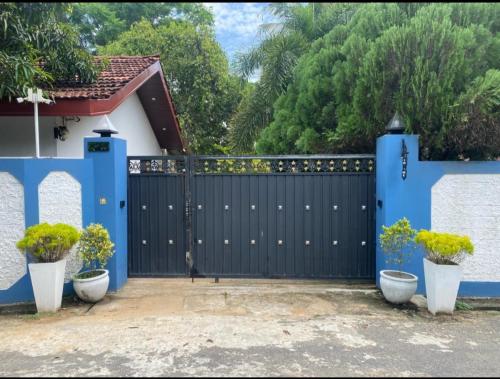 a black gate with three potted plants in front of a house at accomodation katunayaka in Negombo