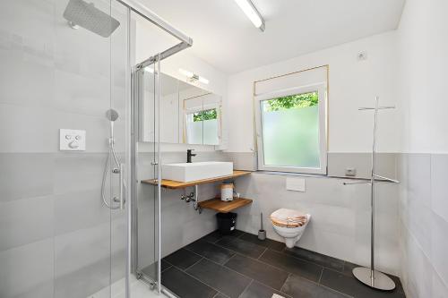 a bathroom with a sink and a toilet at Ferienhaus 110 in Stelzendorf
