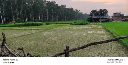 Příroda nedaleko ubytování v soukromí