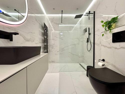 RiehenにあるModern and Peaceful Renovated Apartment in Riehenのバスルーム(シャワー、黒いトイレ付)