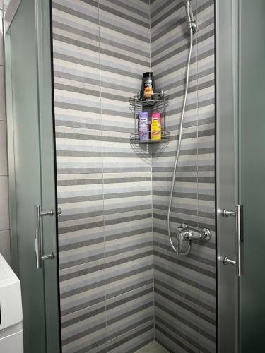 Koupelna v ubytování Nesasappartment