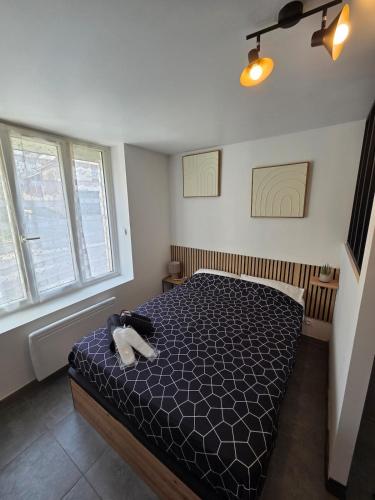 a bedroom with a bed and two windows at Sweet Cocon Studio in Étampes-sur-Marne