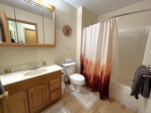 a bathroom with a toilet and a sink and a shower at North Country Retreat in Saint Ignace