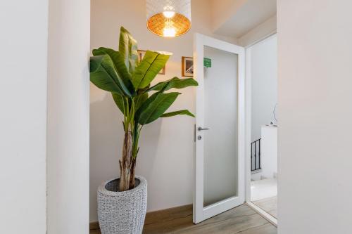 a plant in a vase in a hallway at B&B Isa in Loreto