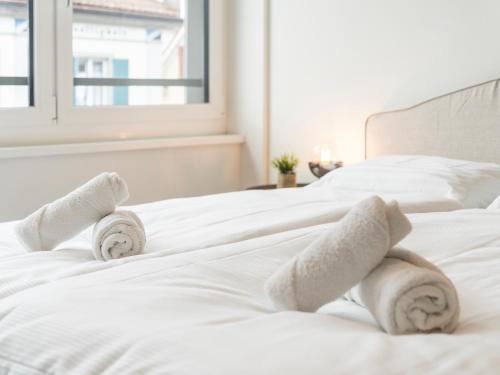 Stilvoll & zentral in St Gallen -WYBA Living Rio