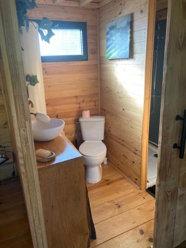 ein kleines Badezimmer mit Toilette und Waschbecken in der Unterkunft Le nid de l Eyrieux in Saint-Martin-de-Valamas