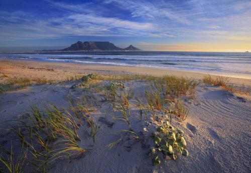 a beach with some plants in the sand and the ocean at Quest Bed And Breakfast in Melkbosstrand