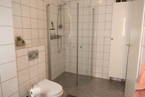 Un baño con ducha y WC. en Cozy Penthouse Private Balcony City Centre, en Stavanger