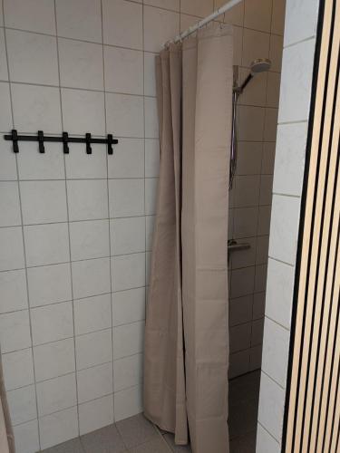 a shower with a shower curtain in a bathroom at Den gamle stenhugger in Haderslev