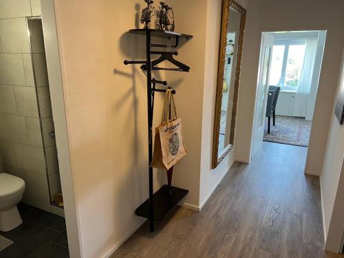 a hallway with a toilet and a mirror at Moderne & helle Wohnung mit Netflix & Bergsicht in Wetzikon