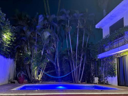 a pool in a yard at night with palm trees at Alojamiento para 3 personas con alberca y billar in Chuburná de Hidalgo