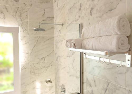 a bathroom with a shower with towels on a shelf at Botanico in Villa Elisa