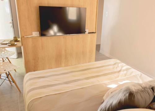 una stanza con un letto e una TV su una parete di Botanico a Villa Elisa