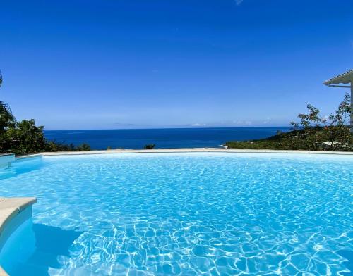 ein Swimmingpool mit Blick auf das Meer in der Unterkunft Espace Harmonie Deshaies - Vue Mer & Piscine Panoramique in Deshaies