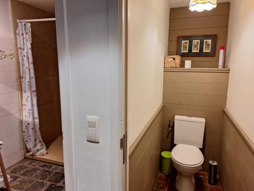 Un pequeño baño con inodoro y ducha. en Côté Dyle de la Tourelle, en Ways