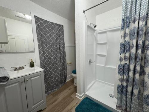 a bathroom with a shower and a sink and a toilet at 2 Story Home in the Noto Arts District in Topeka
