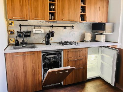 a kitchen with a washer and a dishwasher at Li Amber Apartment Carnikava in Carnikava