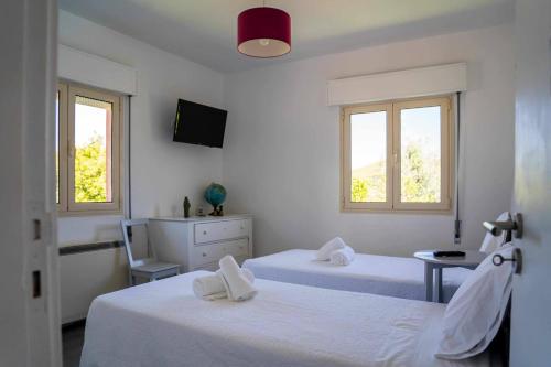 a bedroom with two beds and two windows at Casa Do Cabo Ponte De Lima - Jacuzzi And Pool in Ponte de Lima