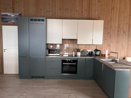 Η κουζίνα ή μικρή κουζίνα στο Phenomenal view over Vrådal and Vråvatn