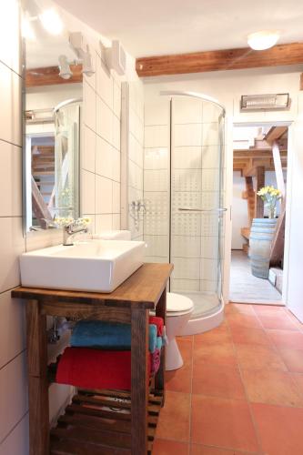 a bathroom with a sink and a toilet at Soča House Tolmin in Tolmin