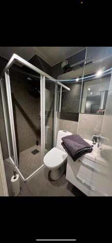 a bathroom with a shower and a toilet and a sink at Apartment for rent in Oslo